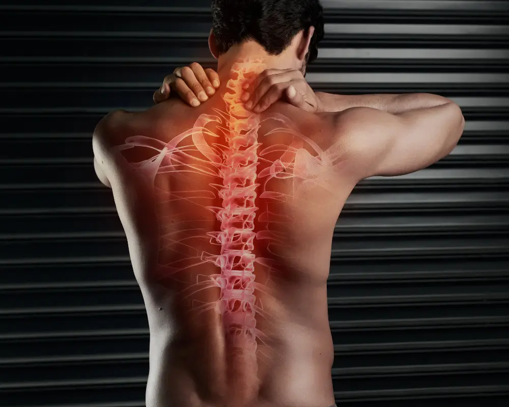 Spine-Neuro Rehab